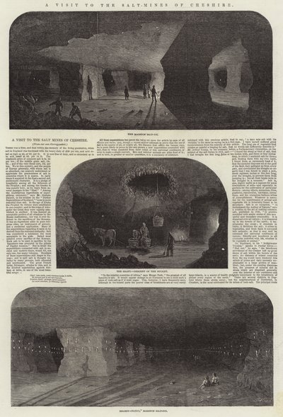 A Visit to the Salt-Mines of Cheshire by Samuel Read